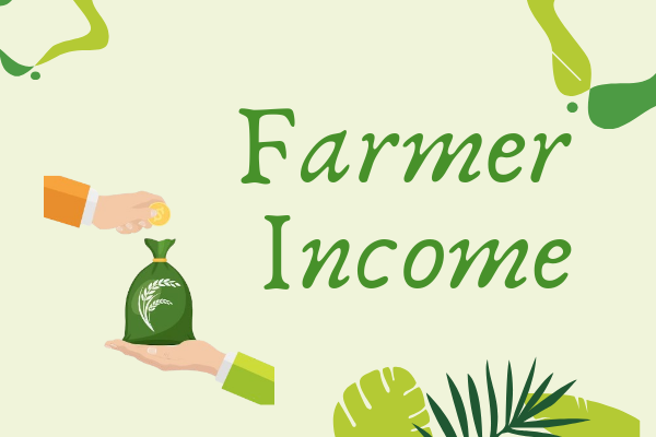 Farmer Income